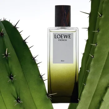 LOEWE ELIXIR ESSENCE Eau de Parfum 100 ml Mixte