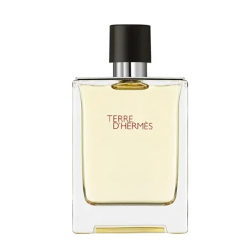 HERMÈS TERRE D'HERMÈS 100 ml eau de toilette, EAN 3346130009603