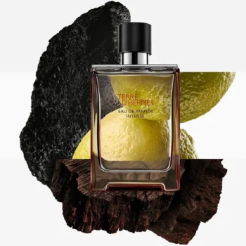 HERMÈS TERRE D'HERMÈS eau de parfum intense 100 ml for Men