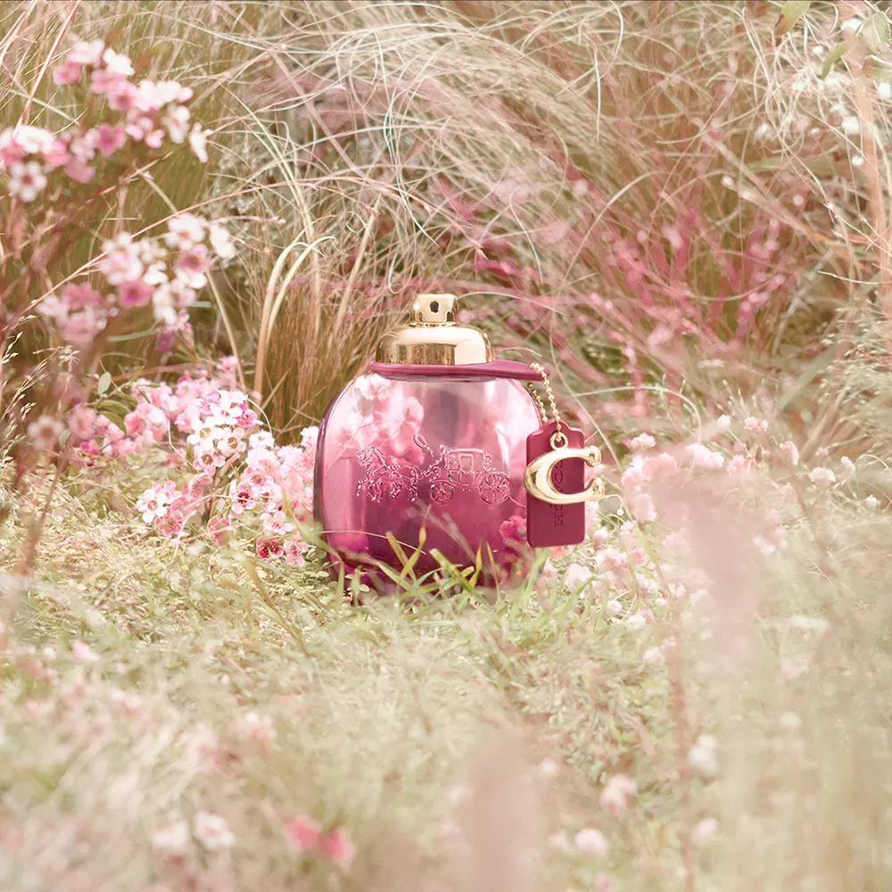 COACH COACH WILD ROSE edp vapo 30 ml for Women COACH COACH WILD ROSE edp vapo 30 ml for Women – Image 3
